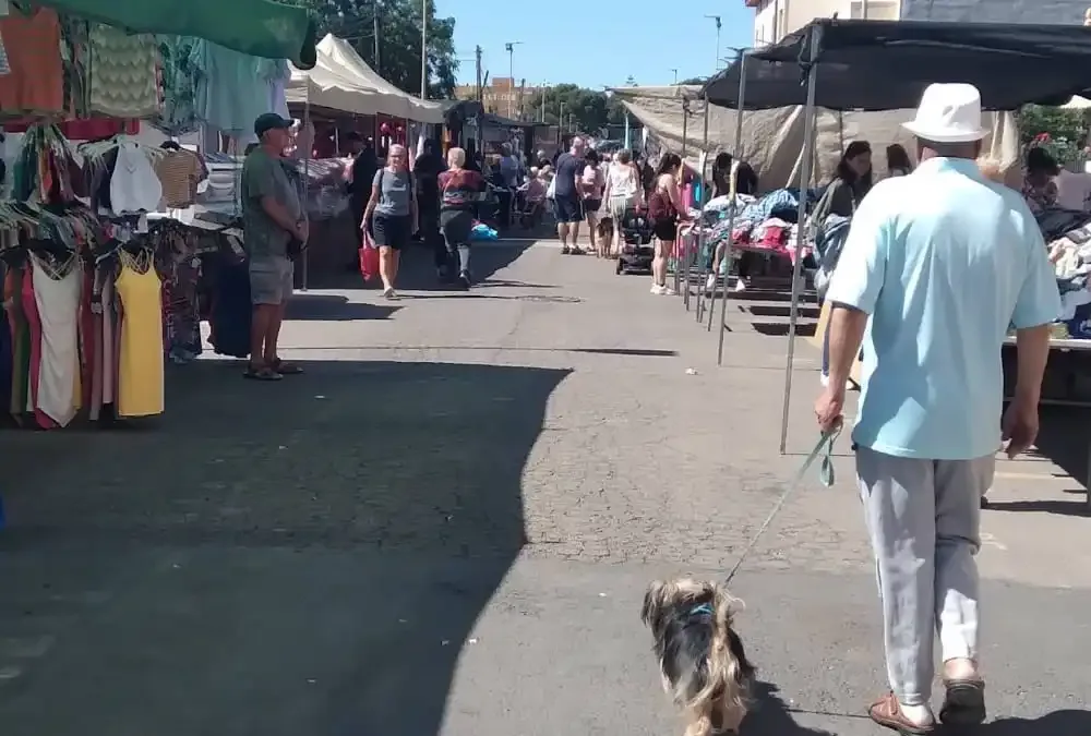 Los Alcázares Weekly Market